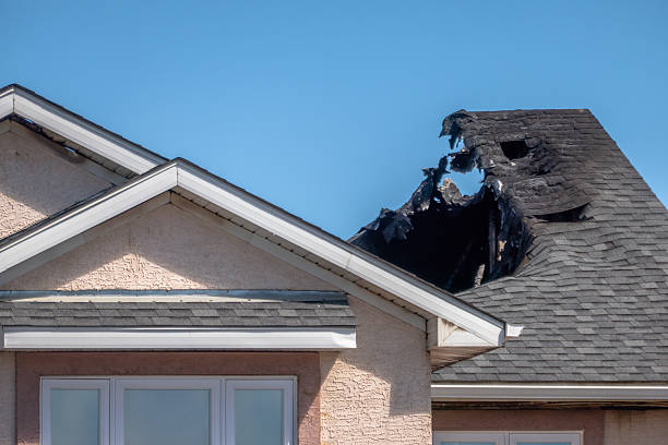 Top rated local Smoke Odor Removal specialists in Hopkins, MN